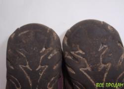 Кроссовки Fanny