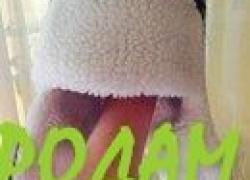 Теплая шапка