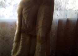 Полушубок бежевого цвета